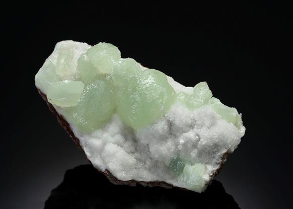 CC16731 specimen image