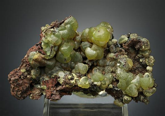 CC16741 specimen image