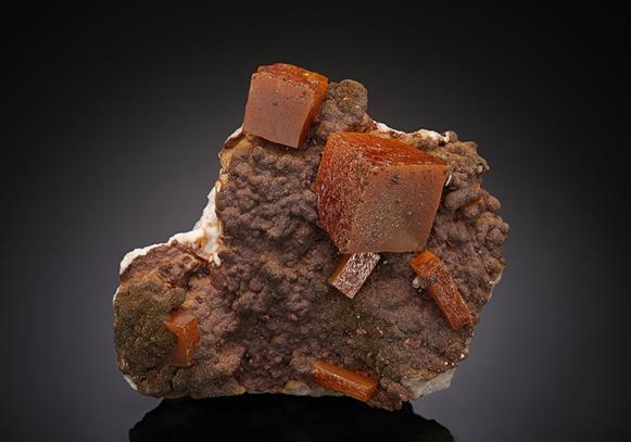 CC16790 specimen image