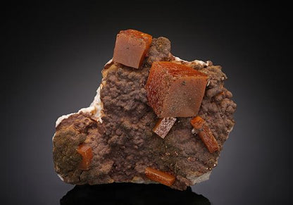 CC16790 specimen image
