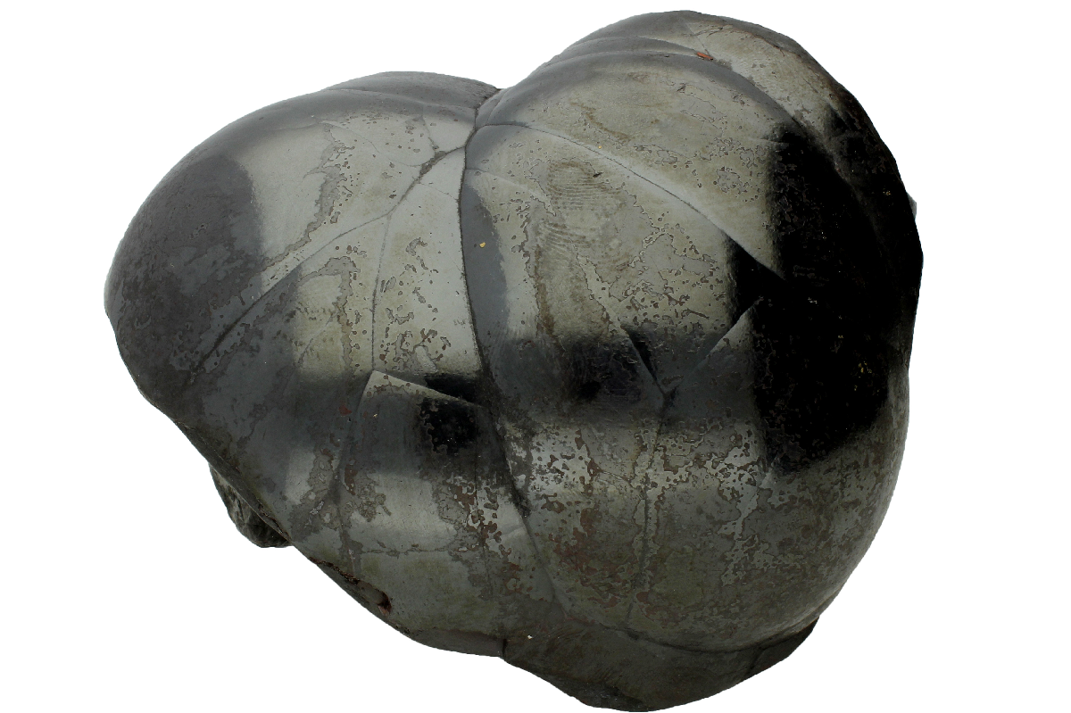 CC16814 specimen image