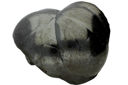 CC16814 specimen image
