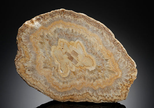 CC16815 specimen image