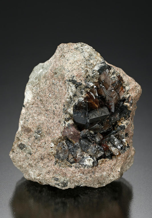 CC16827 specimen image