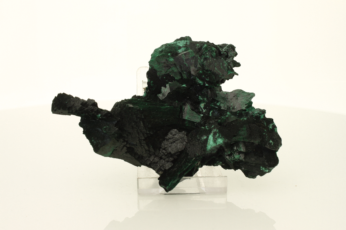 CC1686 specimen image