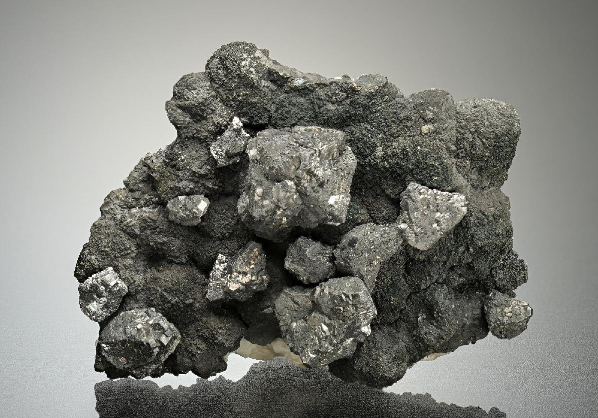 CC16871 specimen image