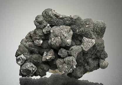 CC16871 specimen image