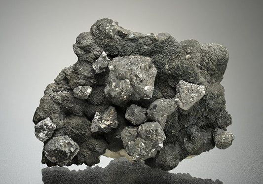 CC16871 specimen image