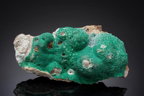 CC16875 specimen image