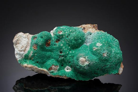 CC16875 specimen image