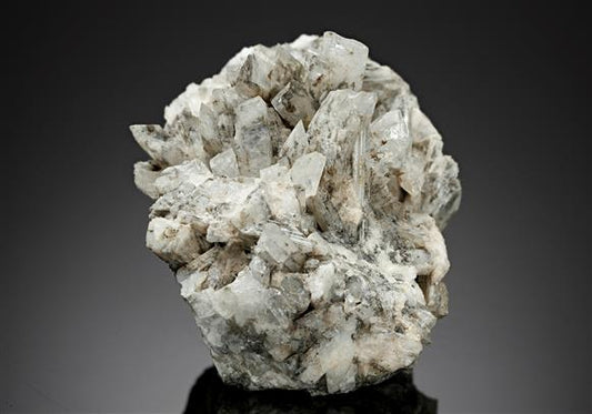 CC16889 specimen image