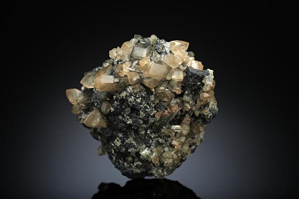 CC16907 specimen image