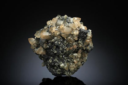 CC16907 specimen image