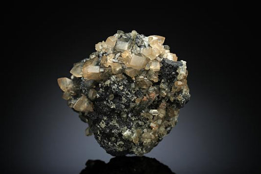CC16907 specimen image