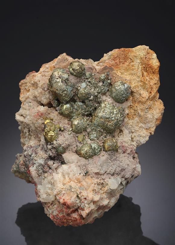CC16909 specimen image