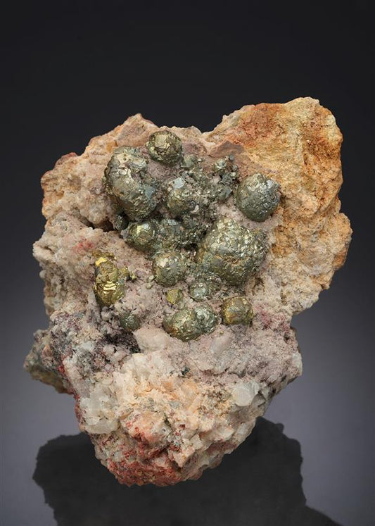 CC16909 specimen image