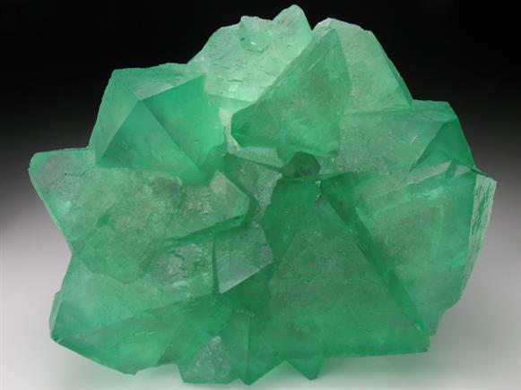 CC1692 specimen image