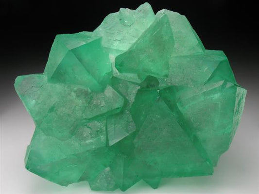 CC1692 specimen image