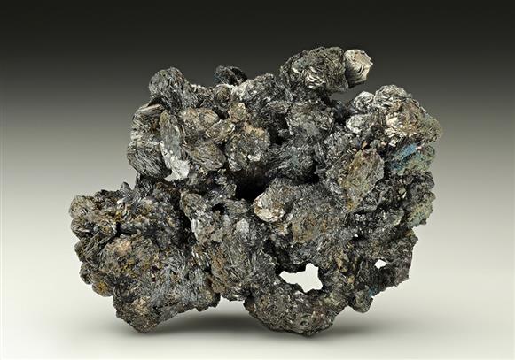 CC16923 specimen image