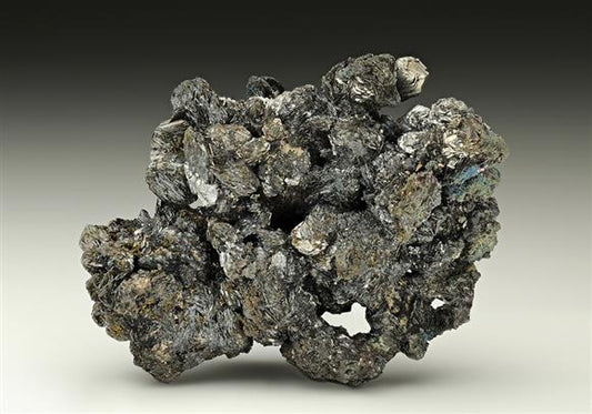 CC16923 specimen image