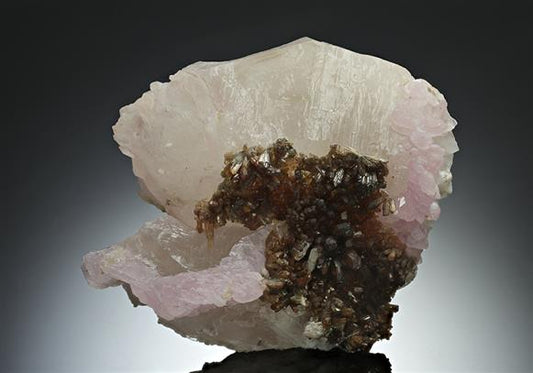 CC16927 specimen image