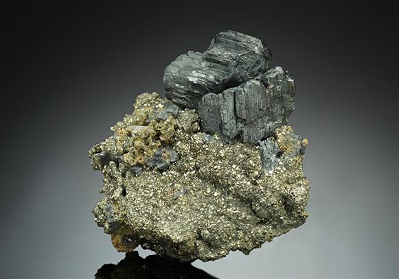 CC16943 specimen image