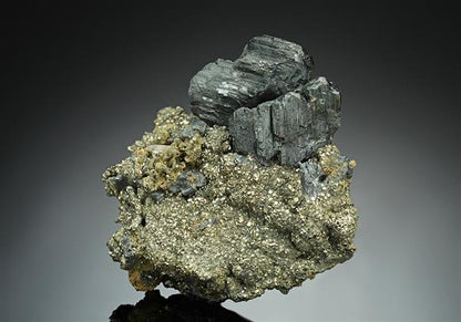 CC16943 specimen image