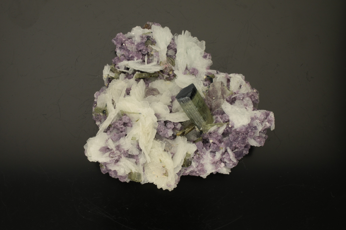 CC16946 specimen image