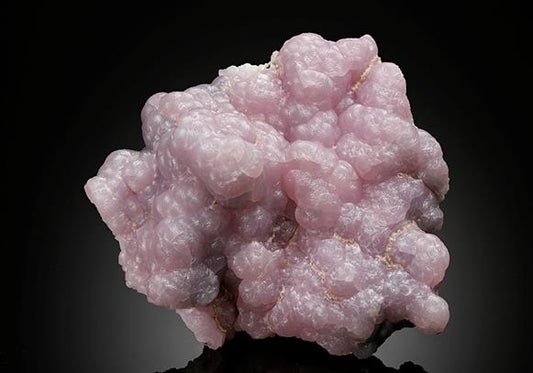 CC16947 specimen image
