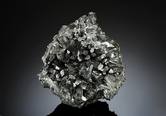 CC16948 specimen image