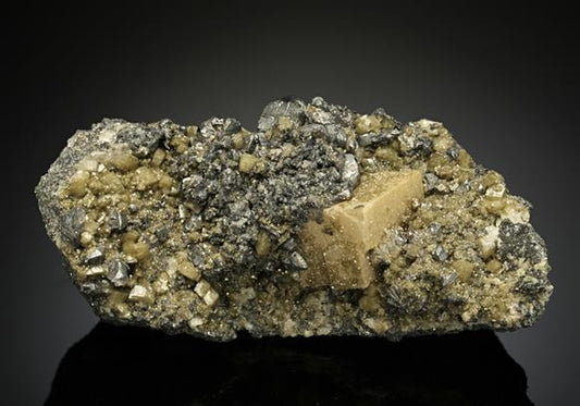 CC16949 specimen image