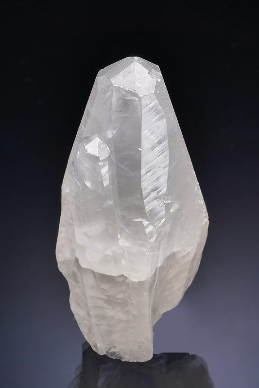 CC16962 specimen image
