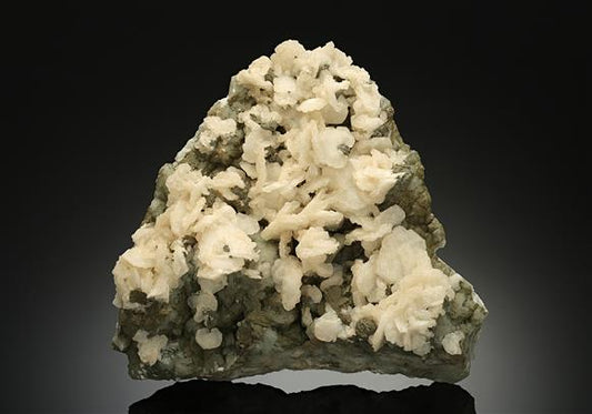 CC17009 specimen image