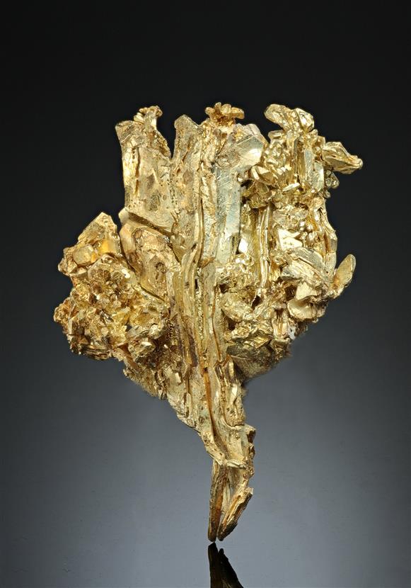 CC17068 specimen image