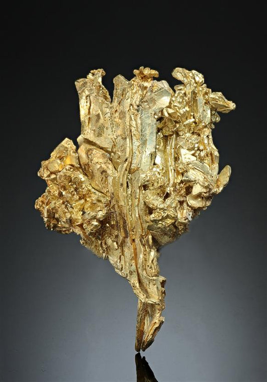 CC17068 specimen image