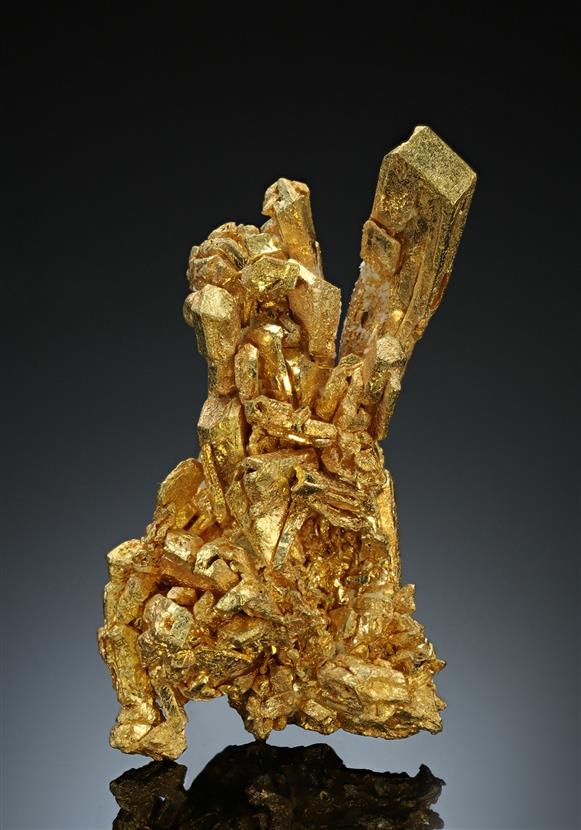 CC17070 specimen image