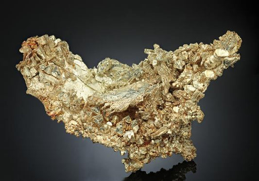 CC17071 specimen image