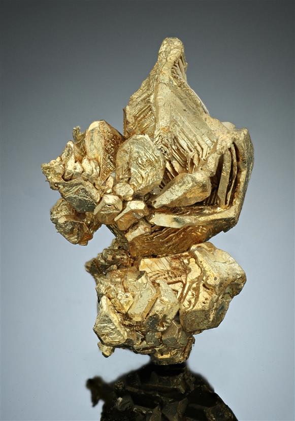 CC17078 specimen image