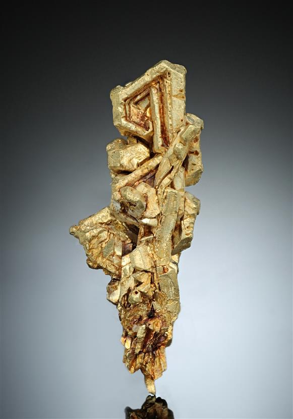 CC17079 specimen image