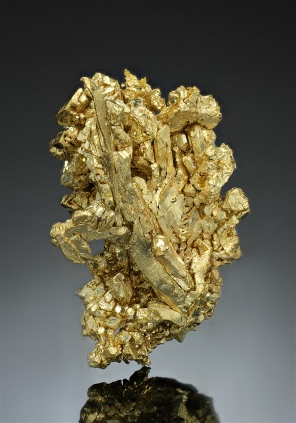 CC17080 specimen image