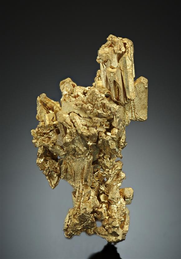 CC17082 specimen image