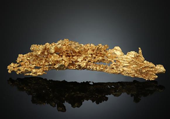 CC17089 specimen image