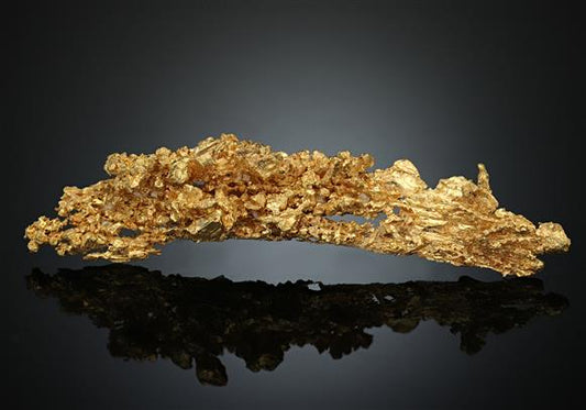 CC17089 specimen image