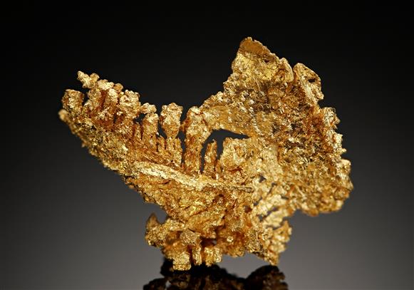 CC17092 specimen image