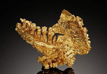 CC17092 specimen image