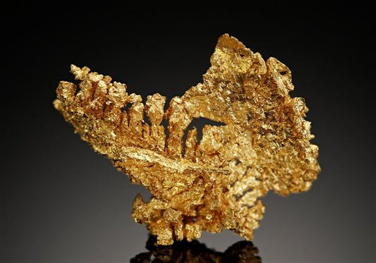 CC17092 specimen image