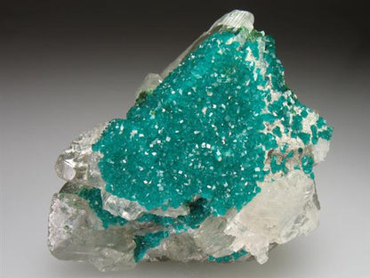 CC1710 specimen image