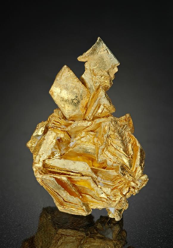CC17114 specimen image
