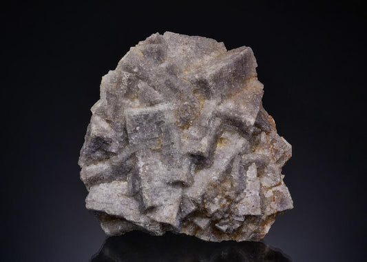 CC17116 specimen image