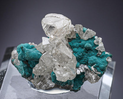 CC1713 specimen image